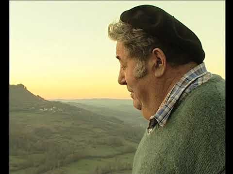 Lo filloxèra e lo mildiu