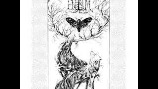 ENISUM - Moth's Illusion LP black 2019