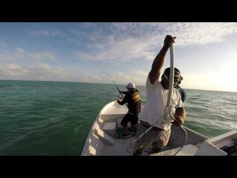 Kiritimati 2017 - Topwater Action