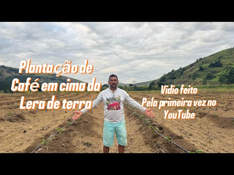 Vejam nova técnica de plantio da cafeteira capixaba 
