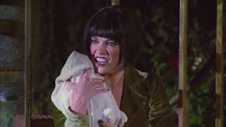 Into the Woods - Hannah Waddingham - Witch’s Lament