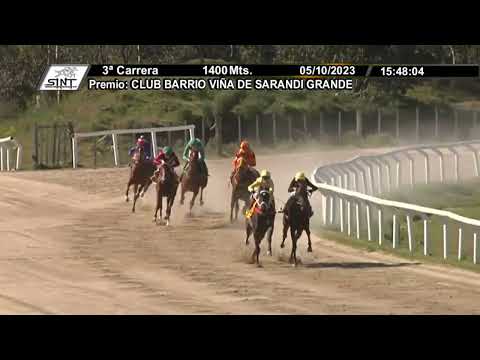 SINT FLORIDA 231005 c03 - 1° BEAUTY QUIET (ARG)