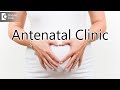 What Is The Best Time To Start Antenatal Clinic Dr Smitha Khose Of Cloudnine Hospitals