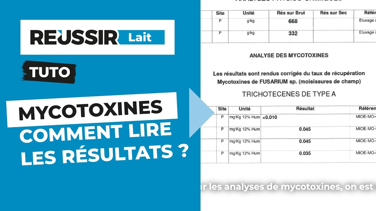 Mycotoxines : comment lire les résultats ? Tutoriel Réussir lait