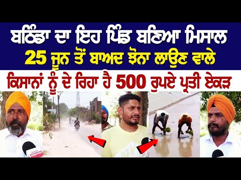 Bathinda News: ਇਹ ਪਿੰਡ ਬਣਿਆ ਮਿਸਾਲ 25 ਜੂਨ ਤੋਂ ਬਾਅਦ ਝੋਨਾ ਲਾਉਣ ਵਾਲੇ ਕਿਸਾਨਾਂ ਨੂੰ ਦੇ ਰਿਹਾ ਹੈ 500 ਰੁਪਏ