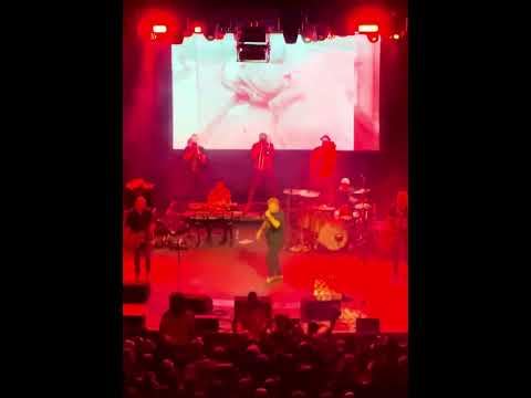 Kult ‘Celina’ Live in London 04/10/25 #kult #kazik #rock #london #live #o2 #goodvibes #polishmusic 