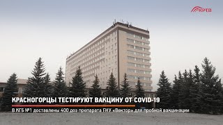 Красногорцы тестируют вакцину от COVID-19