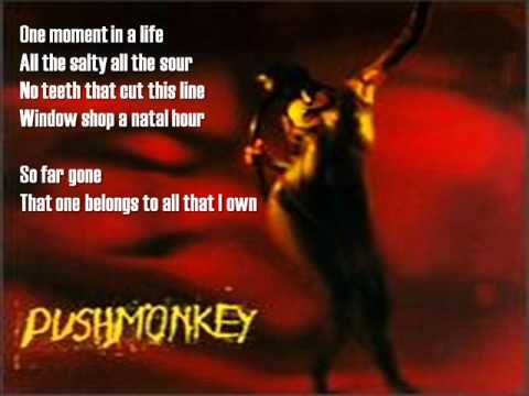 Pushmonkey - Cut the Cord (with lyrics)