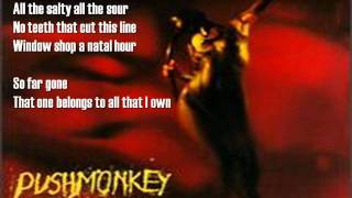Pushmonkey - Cut the Cord (with lyrics)