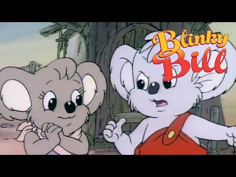 Blinky Bill - Episode 24 - Who Is Blinky Bill