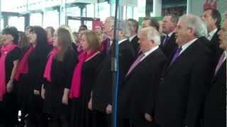 Swans Supporters&#39; Chants - &#39;Liberty Forever&#39;