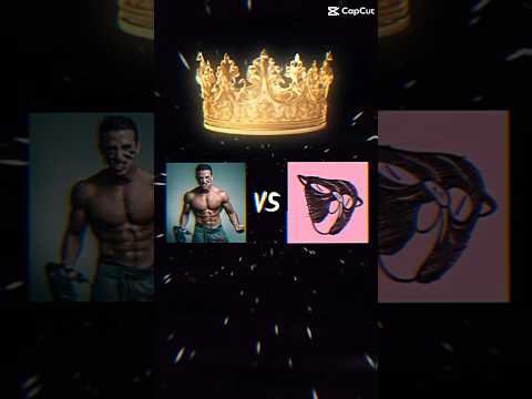 Squeezie ou Tibo InShape