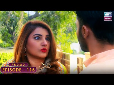 Nand Episode 116 | PROMO | ARY Zindagi