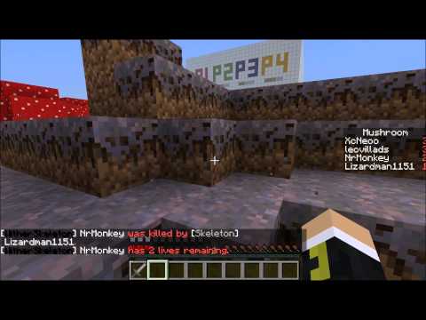 SuperCraftBros  Enderdragon