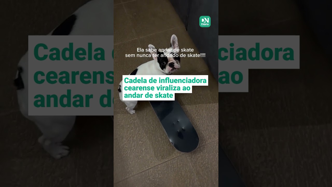 Imagem da notícia Bulldog 'skatista' de influenciadora cearense volta a viralizar nas redes sociais; assista