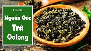 Nguồn Gốc Của Trà Ô Long