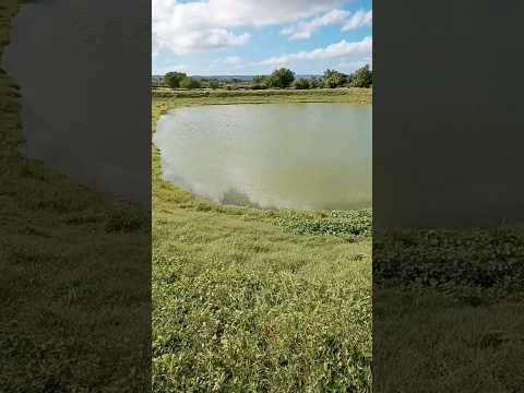 laguna de oxidación en Baguanos Holguín