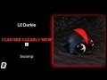 Lil Darkie I Can See Clearly
