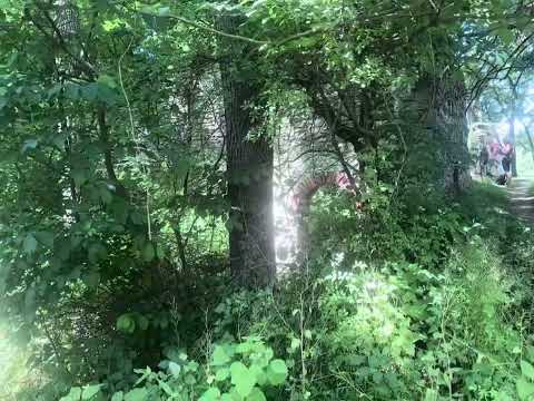 Mammoth March Delaware Valley 2024