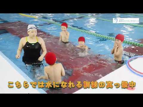 園芸 スイミングプールビーチ