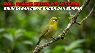 Download lagu PANCINGAN PLECI NEMBAK ROLL MATERI WIT WIT WIT CERR, BIKIN LAWAN IKUT GACOR DAN CEPAT BUKPAR mp3
