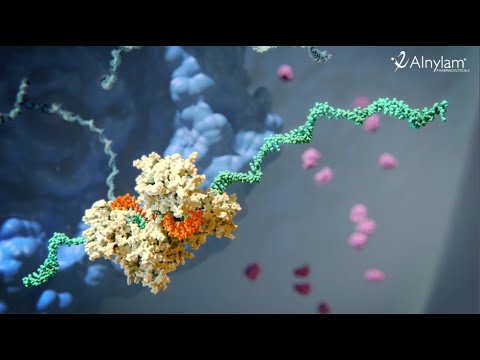 RNAi Therapeutics - How this New Class of Medicines Works