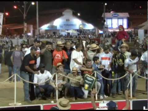 GRANDES CAMPEÕES DA RAÇA - MELHORES ANIMAIS DA 30º NACIONAL