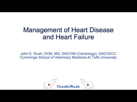Management of Heart Disease and Heart Failure- CardioRush