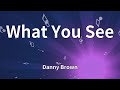 Danny Brown - What You See (Lyrics)