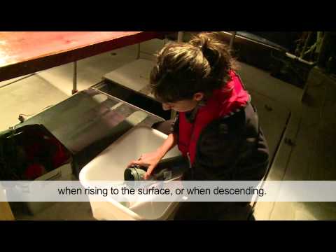 Sampling at night  - Tara Méditerranée 2014