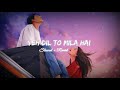 Yeh Dil To Mila Hai  Video || Slowed Reverb || #slowedreverb #lofi #reverb #slowerd