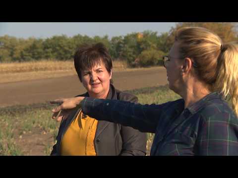 Gasztroangyal 37. rész – Bácsalmás (2018)