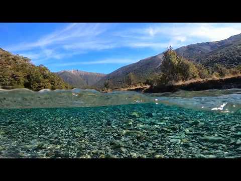 Epic Fly Fishing Adventure on PRISTINE New Zealand River