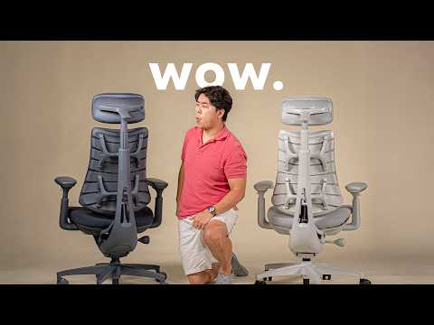 EVERYONE is Buying This Chair...Here's Why. LiberNovo Omni Review (Not Sponsored)