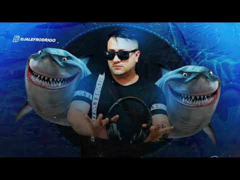 RAVE DO PARAISOPOLIS 1 0   Mc Menor Jc e Mc Vitin Dz7 Dj's Noguera, Alef Rodrigo, Guuh & Roca