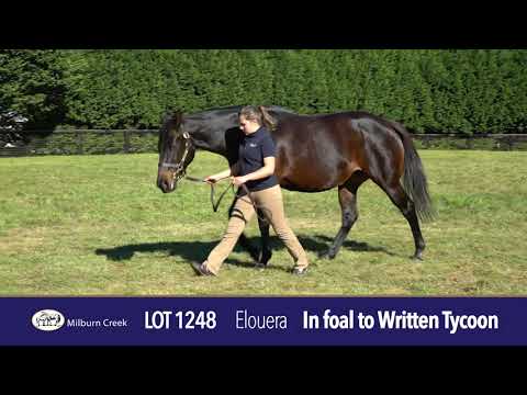 2021 Gold Coast National Broodmare Sale Lot 1248