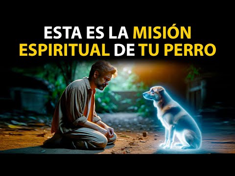 MISIÓN ESPIRITUAL de los PERROS | Por Esto Llegó a TU VIDA