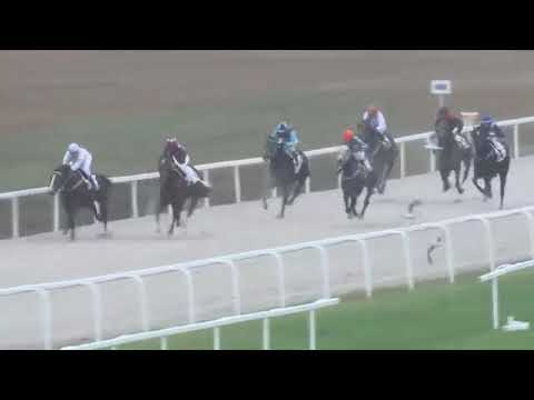 #HRNG - Gipsy Dream hendikep III. osztály 2019.11.10.