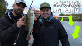 Kanal angeln im Herbst 🍂 SO fängt JEDER Barsche..