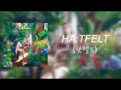 HA:TFELT (핫펠트) - PLUHMM (위로가 돼요) LYRICS [Eng/Rom/Han]
