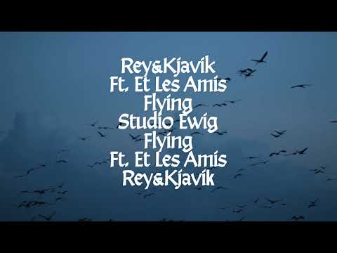 Rey&Kjavik Ft. Et Les Amis - Flying (Official Video)