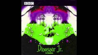 Dinosaur Jr. - Keep the Glove - BBC In Session