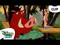 Pumbaa Gets Sick The Lion King S Timon And Pumbaa Disneykids