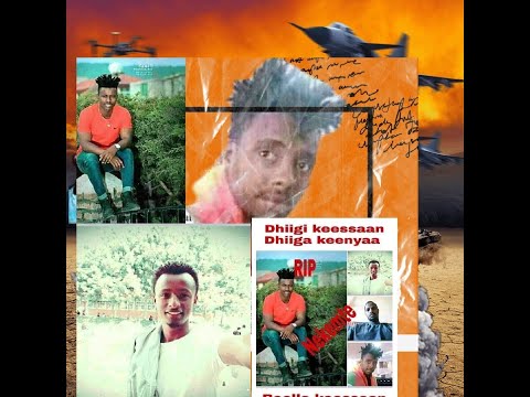 Ajjechaa jumlaan  wallaggaa namaa shan(5) bakka tokkotti ajjeesan icciitii warra ajjese kessa bahera