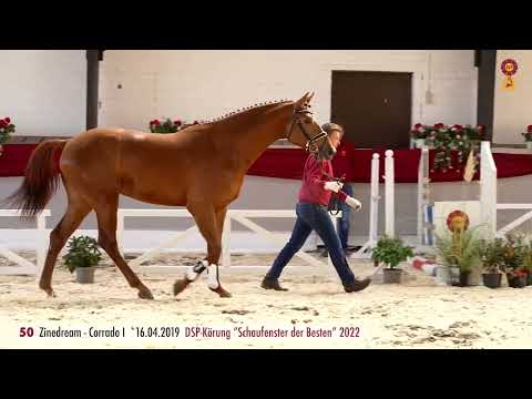 50 Zinedream - Corrado