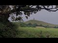 Cold Rain Sounds Under The Tree In England Gentle Rainfall For Relaxing Sleeping Deeply Insomnia