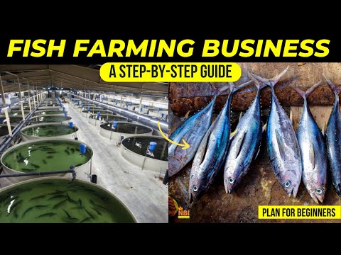 , title : 'Fish Farming Business Plan for Beginners - A Step-by-Step Guide'