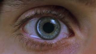 Die Like a Rockstar - Danny Brown (Unofficial Video)