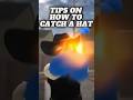 Tips On How To Catch A Hat Blockspin ROBLOX Blockspin Roblox Shorts Robloxhoodgames