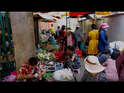 Mixed Video Foods In Phnom Penh And Countryside